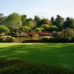 Darling-heights darling-heights