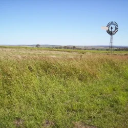 Darling_Downs,_Queensland-geotagged Darling-downs-electrician-toowoomba